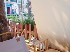 -椿风·养身茶饮(吉大店)