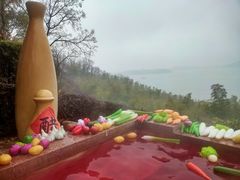-天目湖涵田半山温泉水乐园
