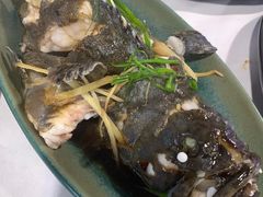 清蒸龙胆-阿尔法海鲜排档(爱琴海店)