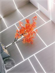 -IP SALON