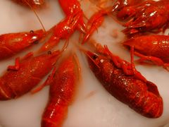 -红盔甲·小龙虾(车公庙店)