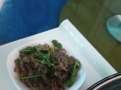 鱼皮-绿岛生态园