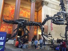 -美国自然历史博物馆