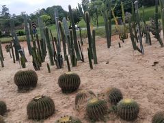 -东莞植物园