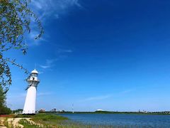 -呼兰河口湿地公园