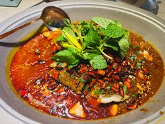 -黔渔翁豆花渎鱼(喷水池店)