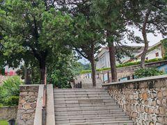 -北京鹫峰国家森林公园