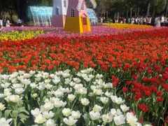 -厦门园林博览苑