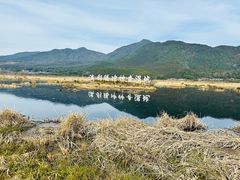 -腾冲北海湿地