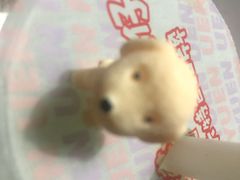 -桂桂茶(恒基名人店)