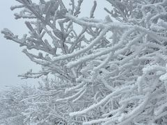 -东白山