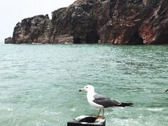 -海驴岛(荣成市)