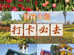 -南通鲜花小镇