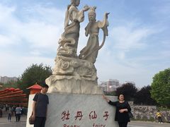 -曹州牡丹园