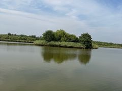 -西青郊野公园