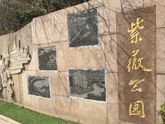 -紫薇公园