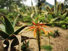 -Club Med地中海俱乐部·桂林度假村