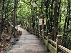 -普陀山风景名胜区-法雨禅寺