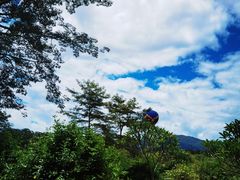 -中国科学院西双版纳热带植物园