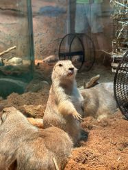 -Zoolung Zoolung动物主题公园(海信广场店)