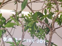 -喜茶(深圳东门1234店)