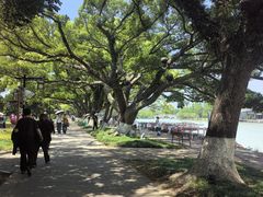 -江心屿景区