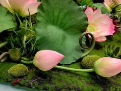 -陶然居·重庆菜(鱼洞老街店)