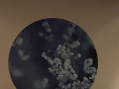 -上足·影院足道·SPA(红岭店)