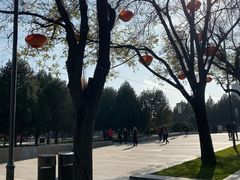 -大雁塔北广场音乐喷泉