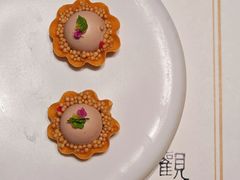 -觀芷隐轩