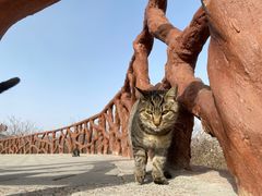 -北京西山国家森林公园