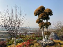 -江阴君山寺
