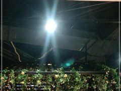 -茉莉餐厅(亳州高新万达广场希夷大道店)