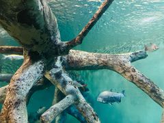 -上海海洋水族馆