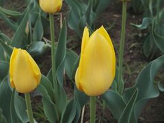 -长春公园(普阳街道)