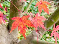 -南京东郊国宾馆