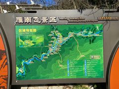 -雁南飞茶田景区
