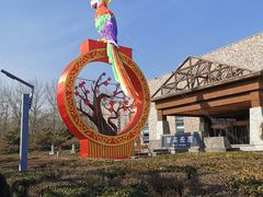 -南宫五洲植物乐园