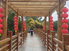 -大湾区中央湿地公园