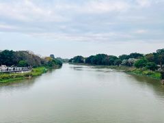 -海珠湖公园