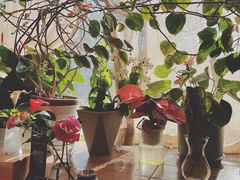 -云之南(八里庄店)