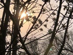 -上海市龙华烈士陵园