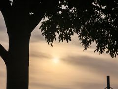 -演武大桥观景平台
