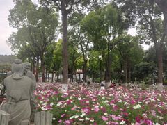 -仙岳公园
