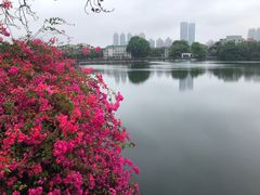 -东山湖公园