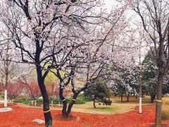 -北京西山国家森林公园