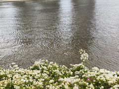 -布里斯班南岸公园