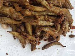-柳周农家菜特色老店沙田柚美食(东大街店)