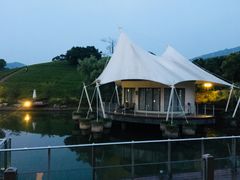 -帐篷客·溪龙茶谷度假酒店