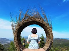 -武陵山森林公园